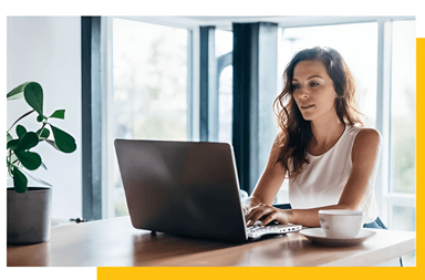 Professional Woman Working